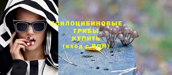 PSILOCYBIN Абаза