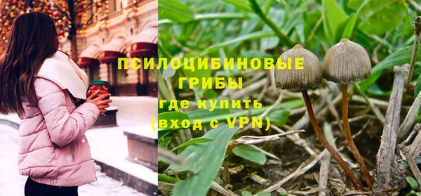 таблы Пересвет