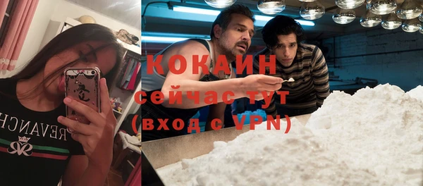 таблы Пересвет