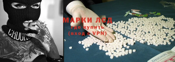 PSILOCYBIN Абаза